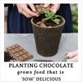 Thumbail image of Sow Delicious Planting Chocolate video