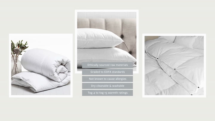 Preview image of Lifson Bedding video