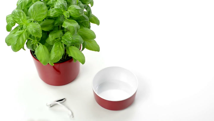 Preview image of Rosti Mepal Herb Pot video