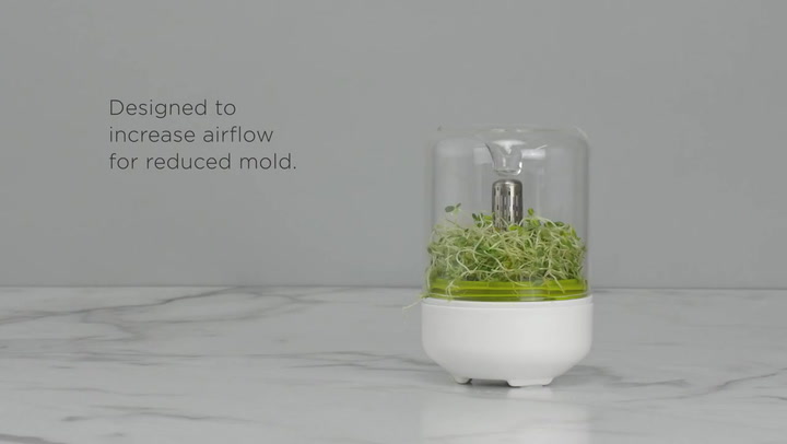 Preview image of Chef'n Countertop Sprouter Growing Kit video