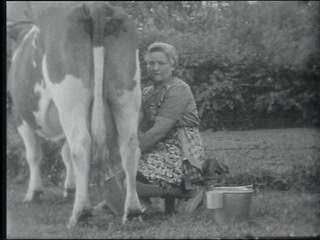 Melkcursus vrouwen 1