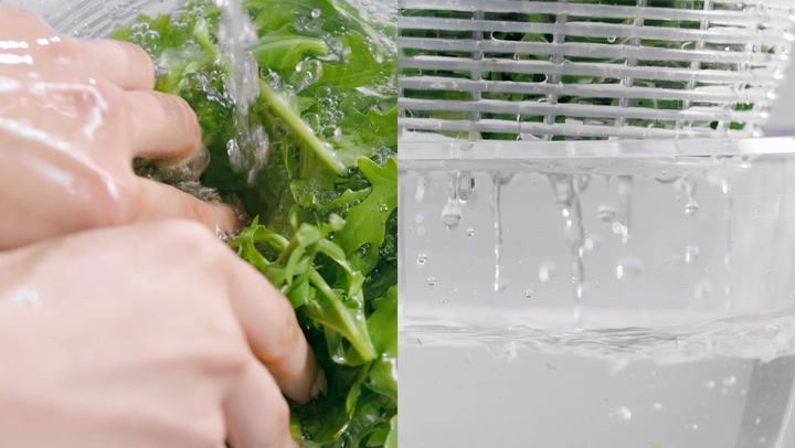 Preview image of OXO Little Salad And Herb Spinner video