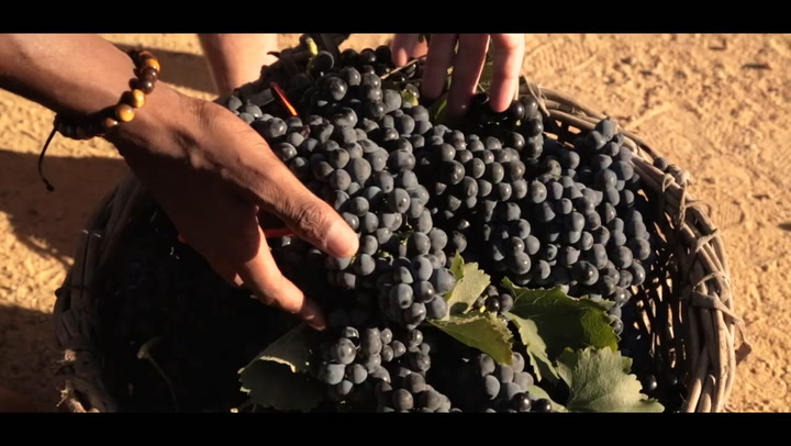 Preview image of Bosman Family Vineyards Nero video